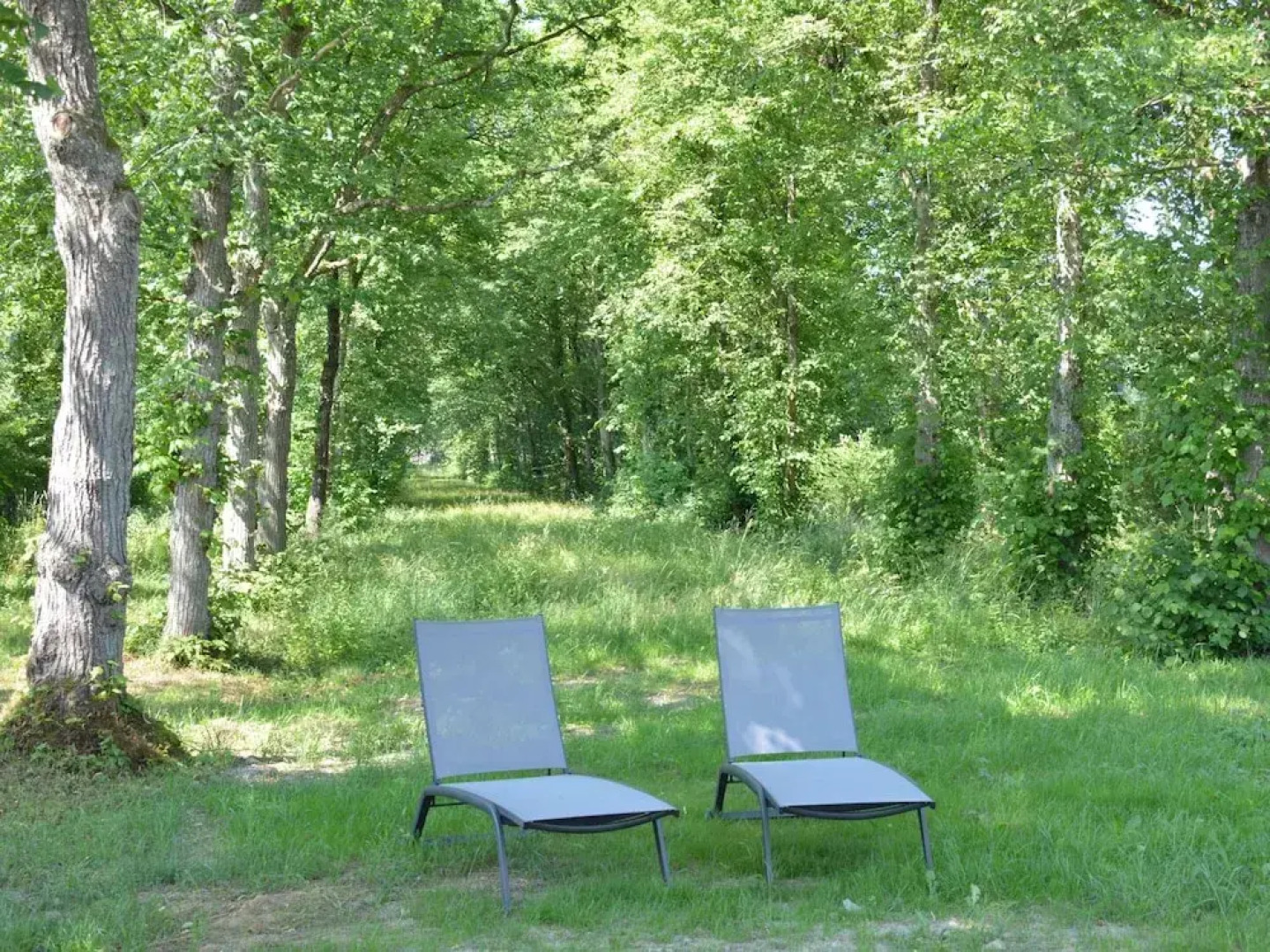 Superb Holiday Home With Garden in Serinchamps