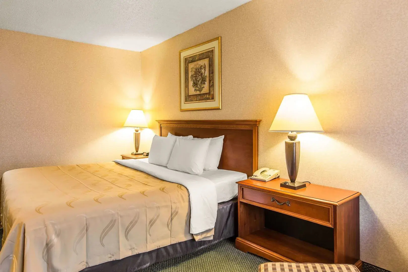 Quality Inn & Suites McDonough South I-75