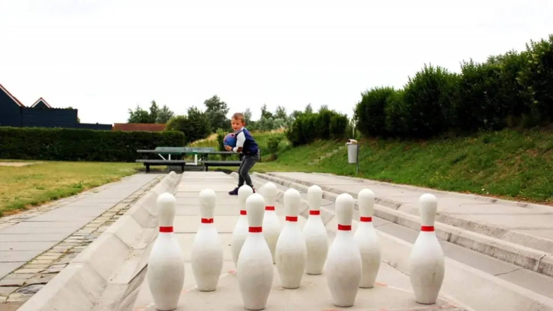 HVZ Iris 6p in Heinkenszand