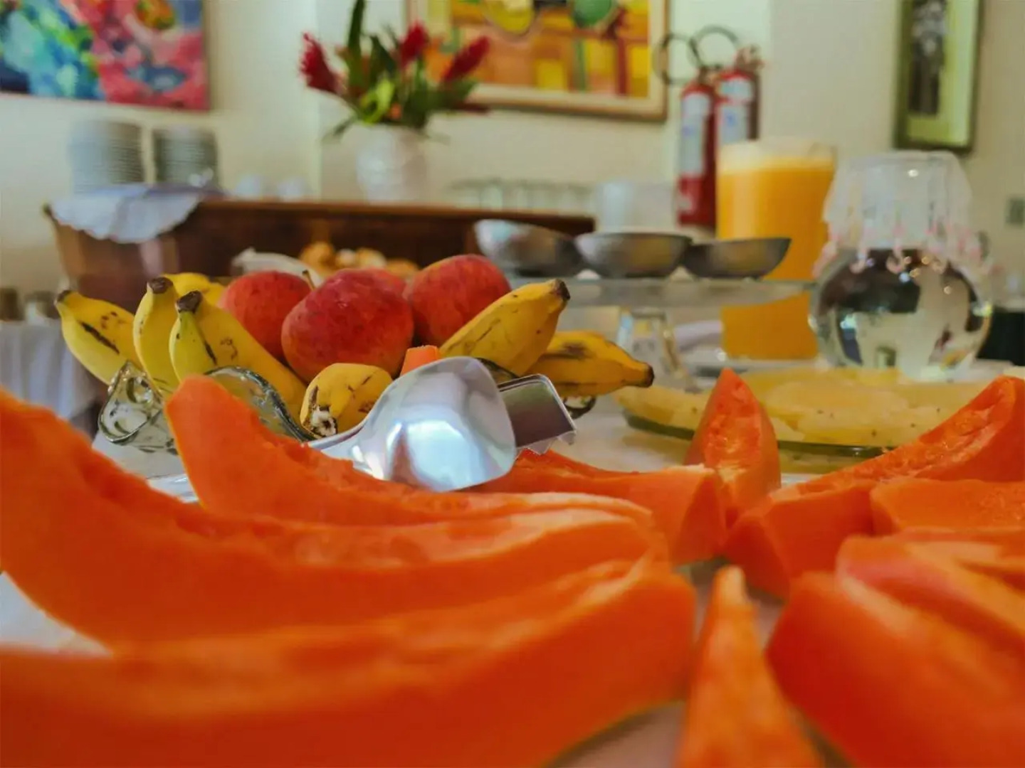 Pousada Chao Da Serra 2