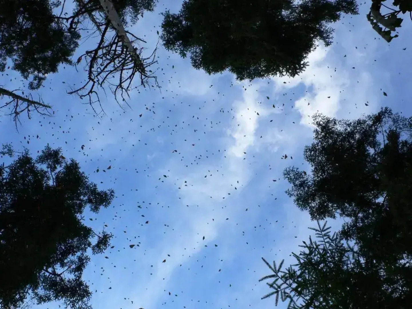 Hotel Rancho San Cayetano