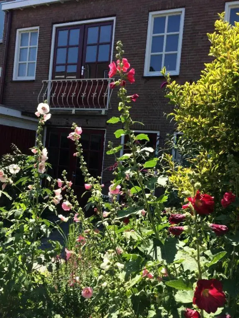Door de poort