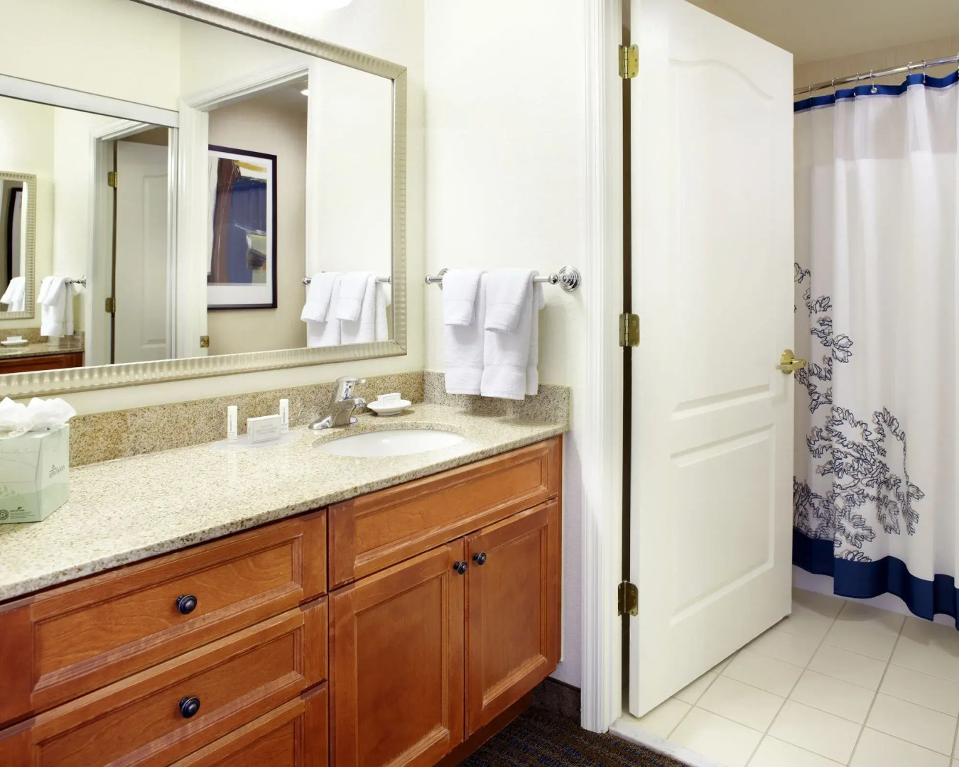 Residence Inn by Marriott Tampa Oldsmar