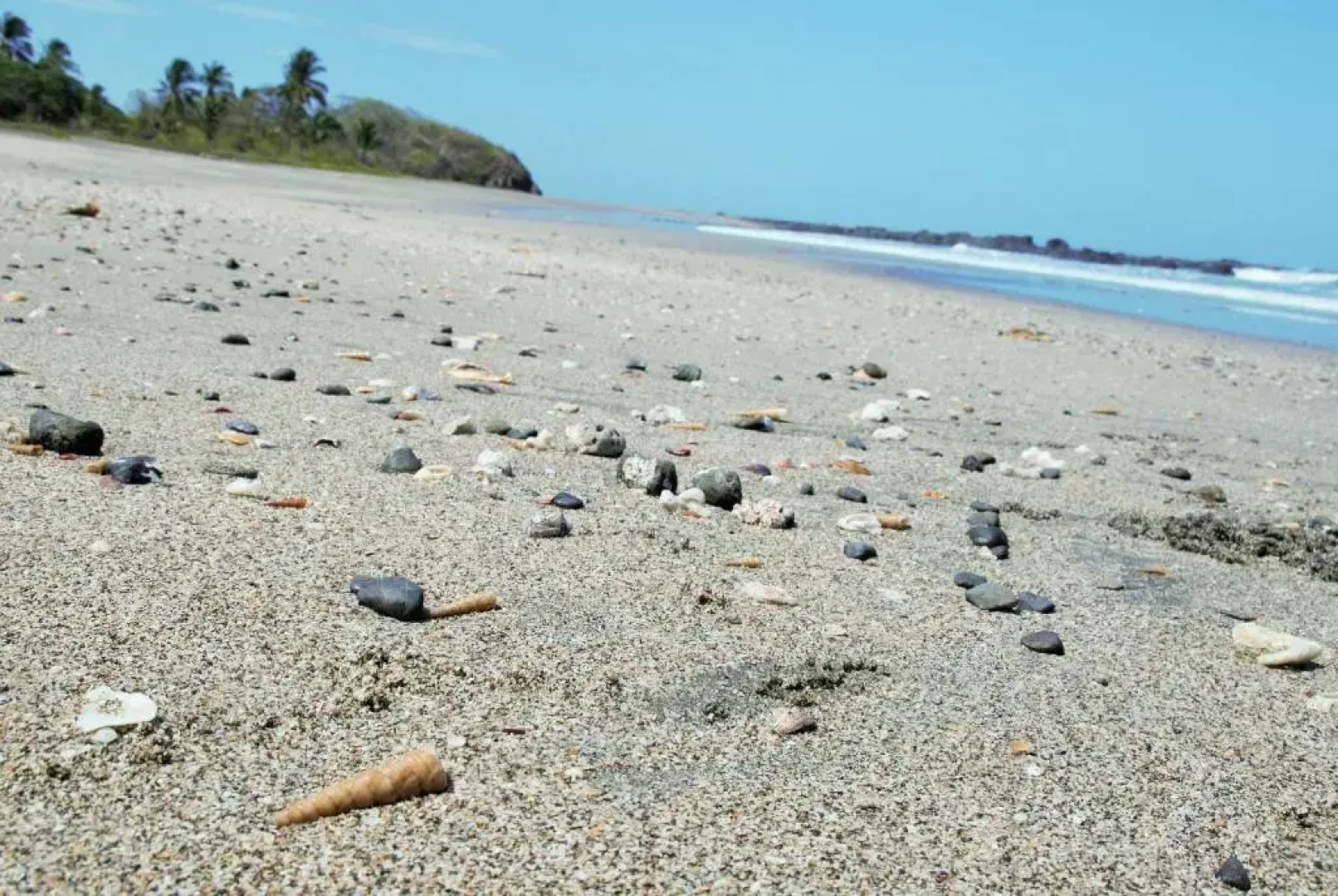 Mundo Milo Eco Lodge