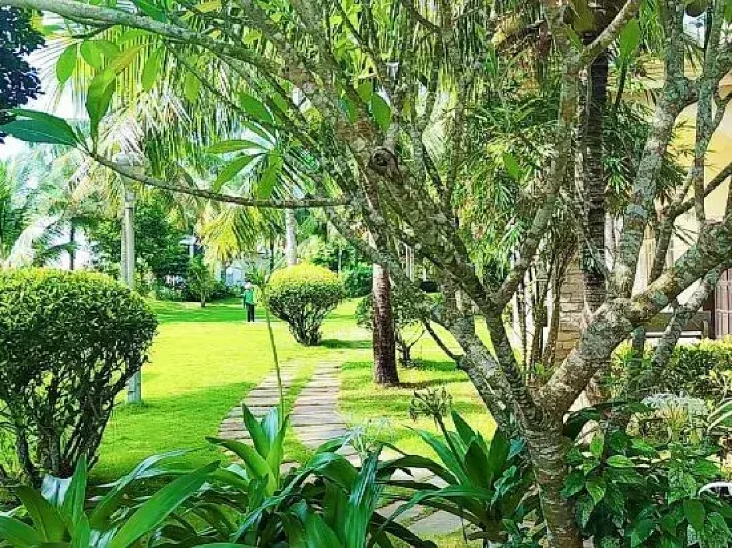 Island Story Holiday Apartment