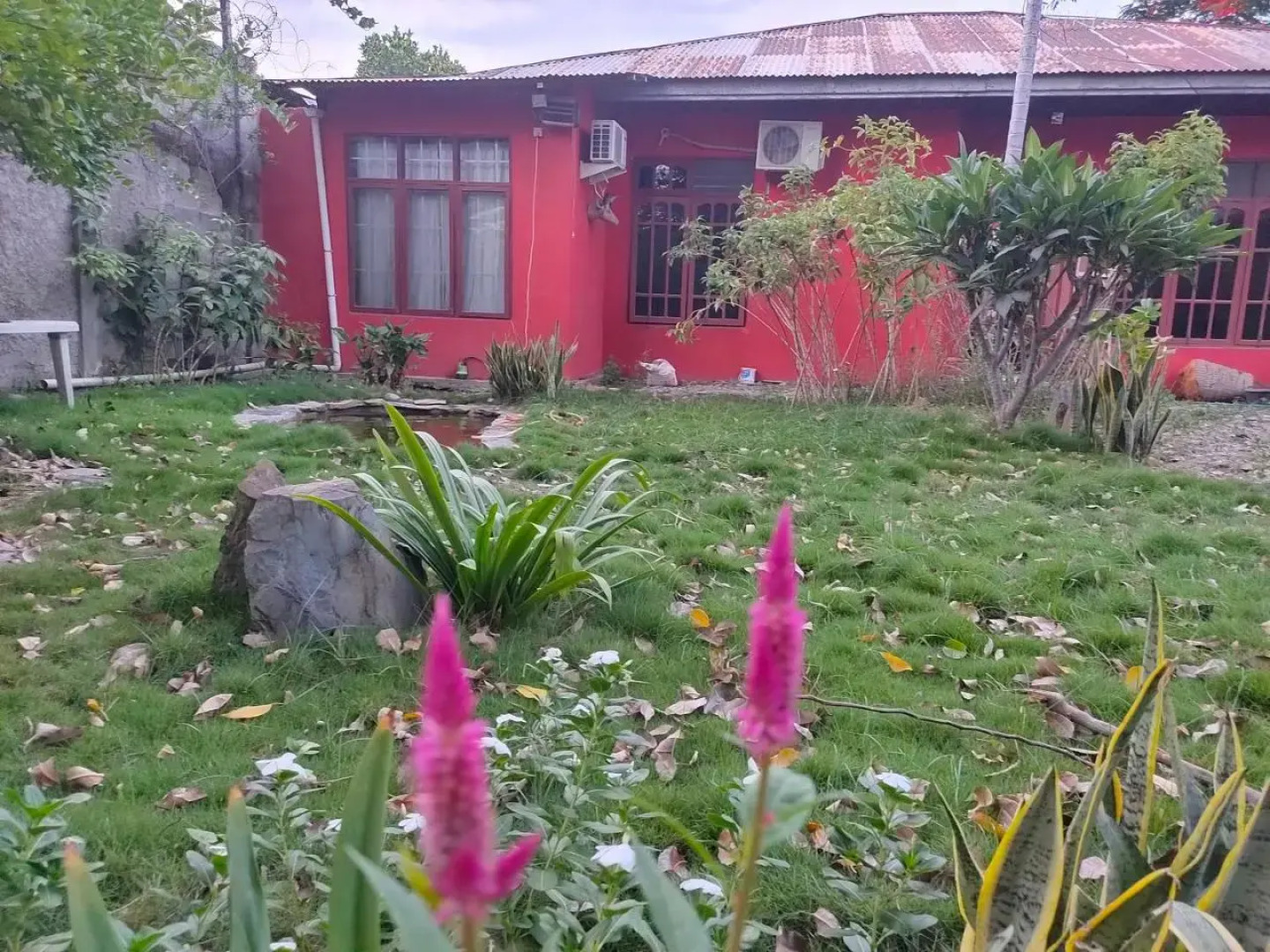 Casa Minha Backpackers