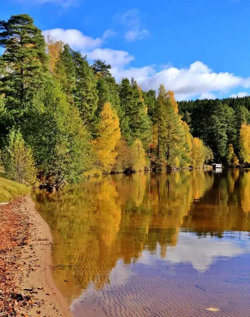 The Green House Guesthouse Sunnemo