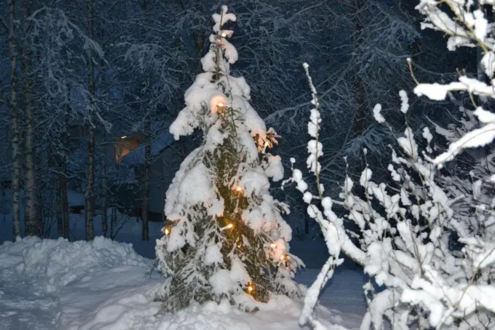 House Olkka by the river