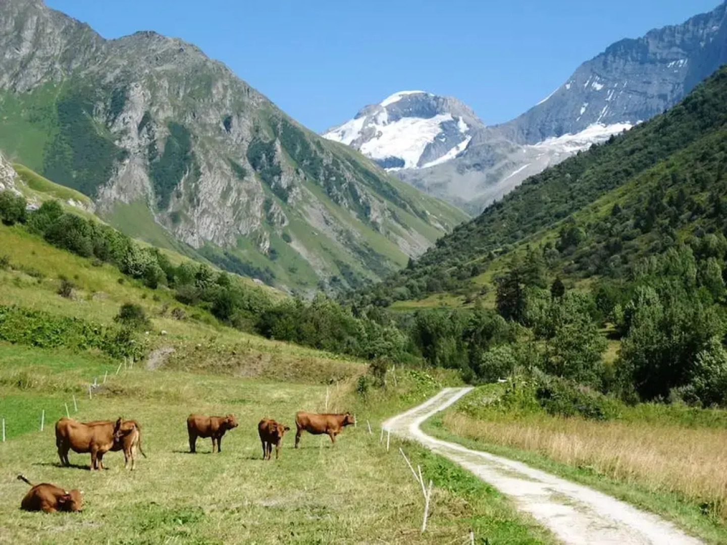 Apartment With 2 Bedrooms in Champagny-en-vanoise, With Furnished Garden and Wifi - 1 km From the Slopes