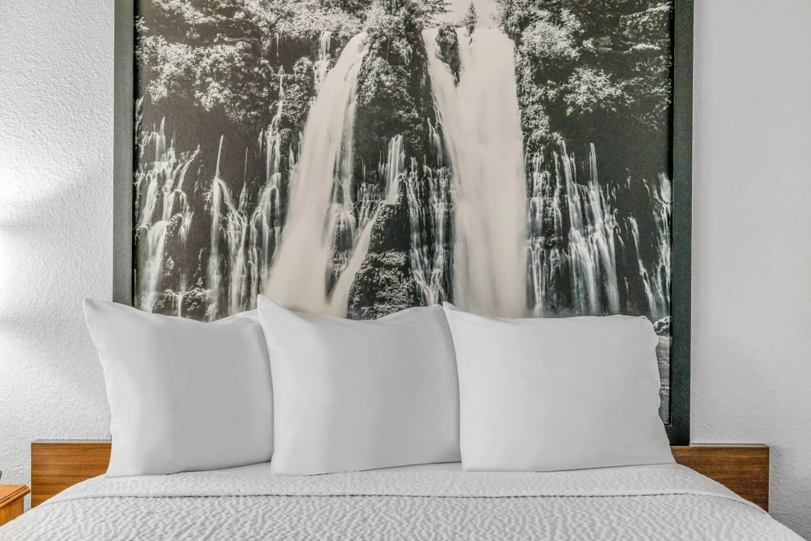 Super 8 by Wyndham Arcata