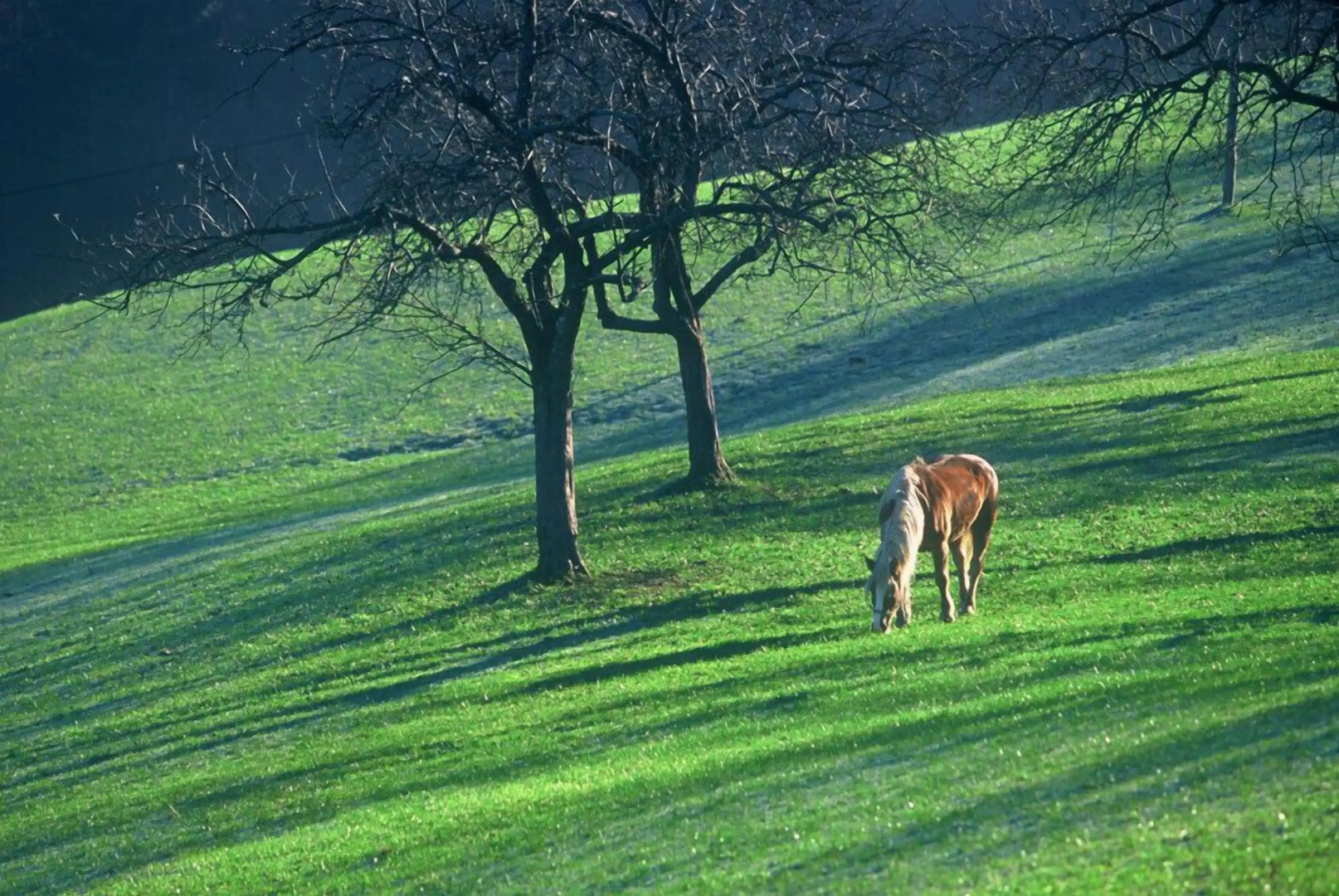 Tourist Farm Ljubica