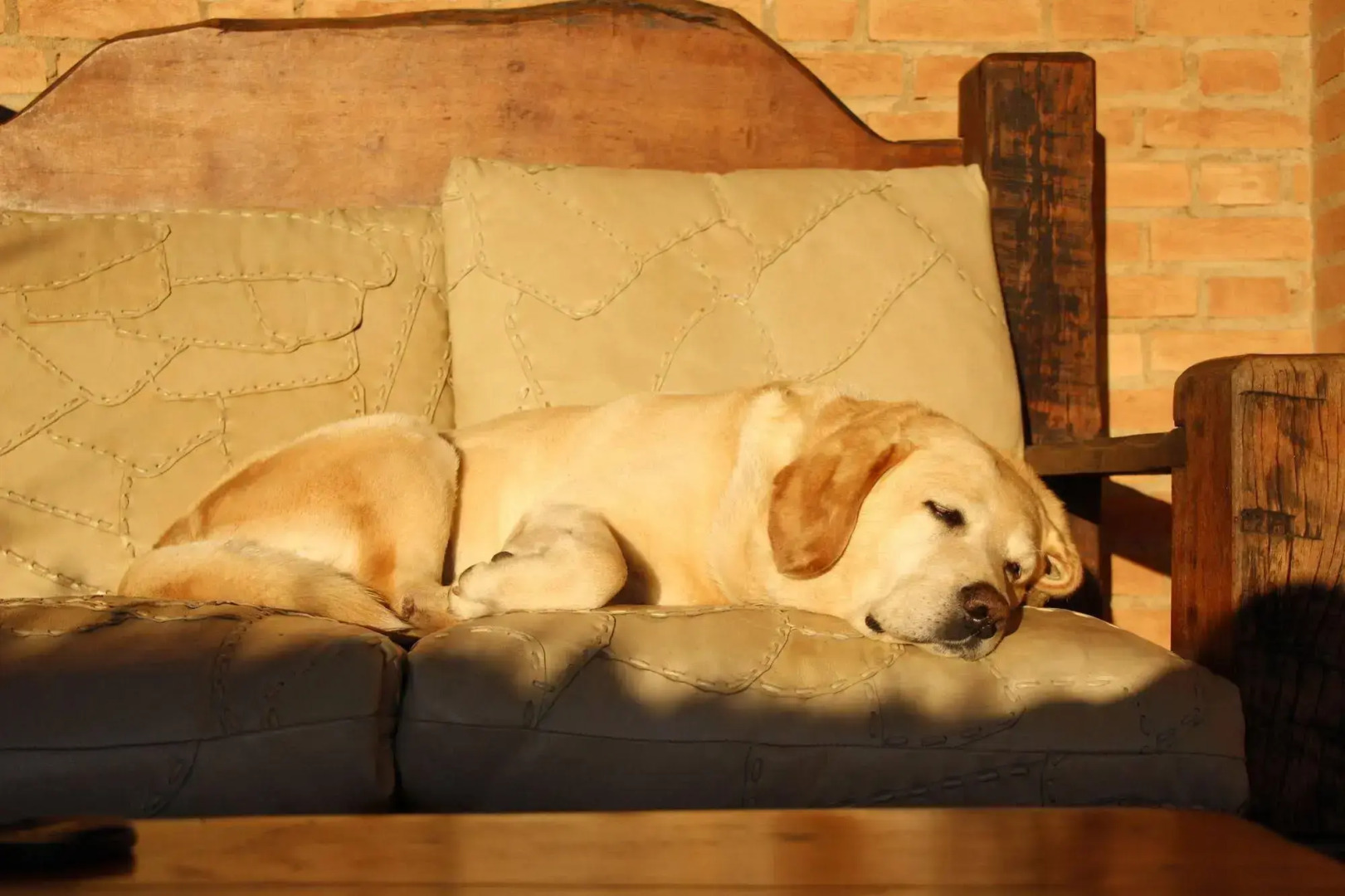 Hotel Pousada Shangri-la