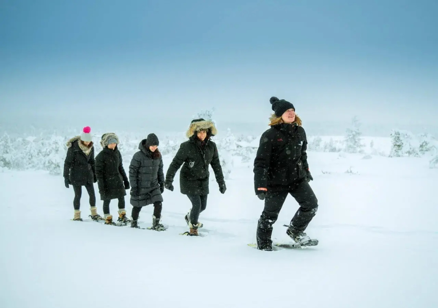 Star Arctic Hotel & Activities