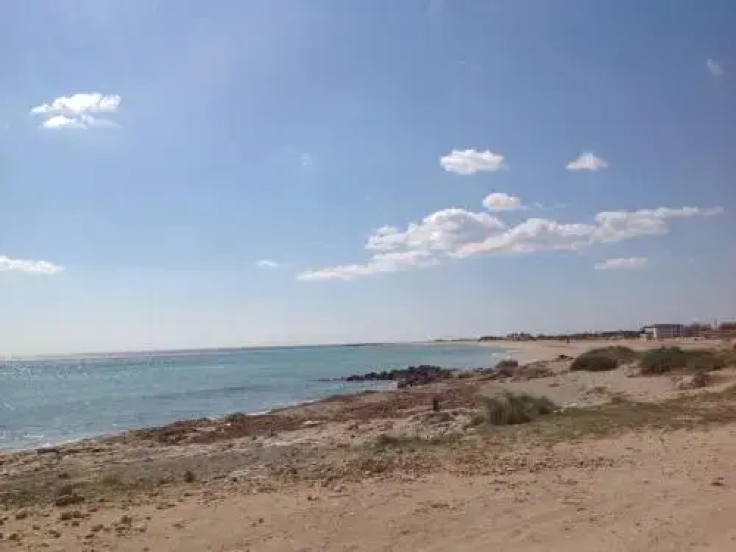 Affittacamere La Regina