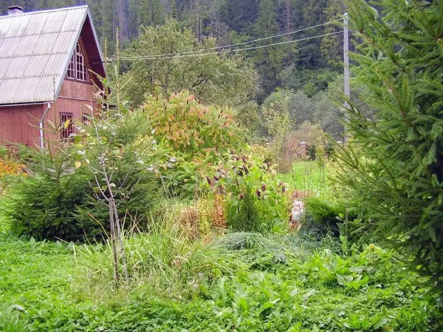 Зеленый туризм