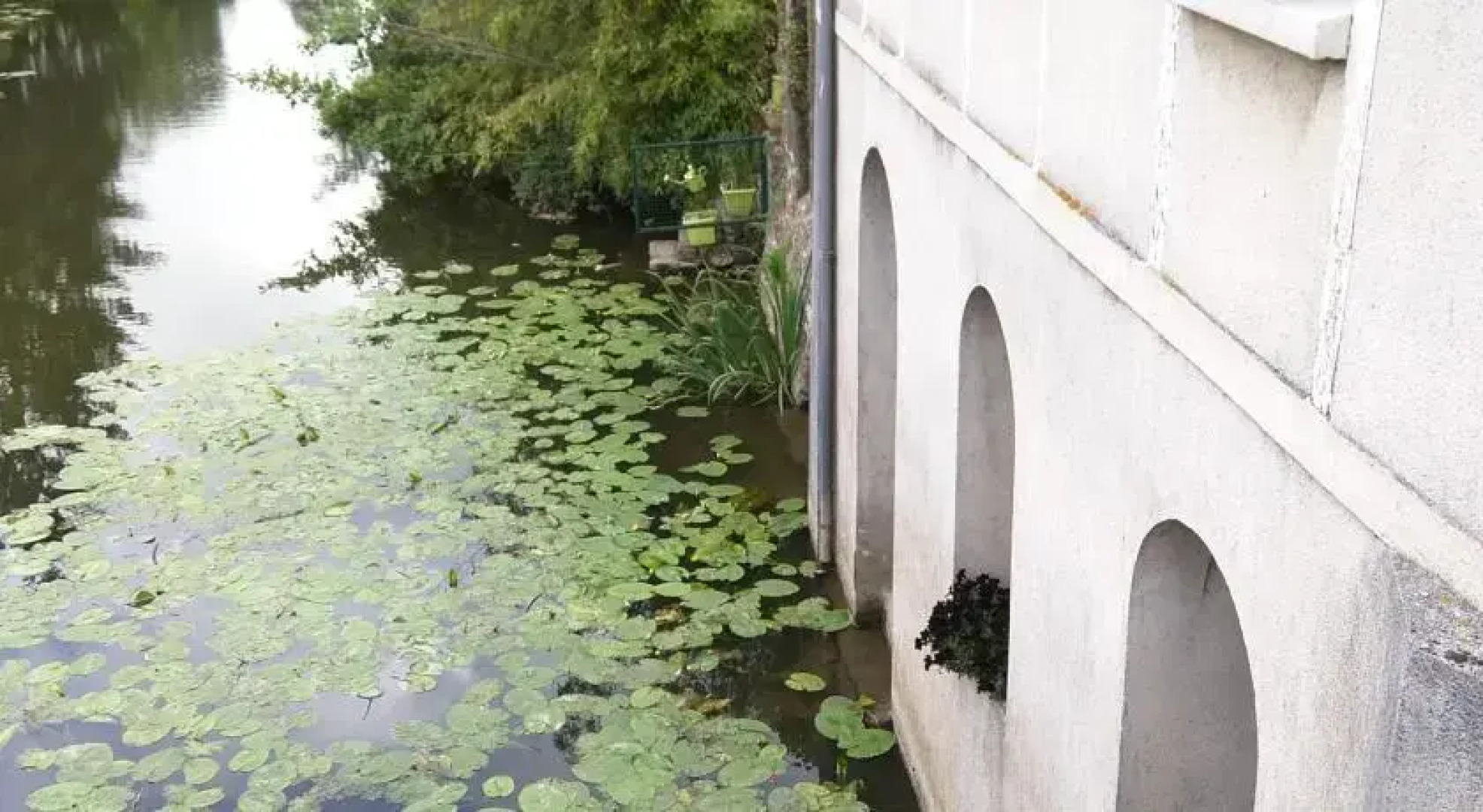 Le Jardin et Moulin sur la Moine