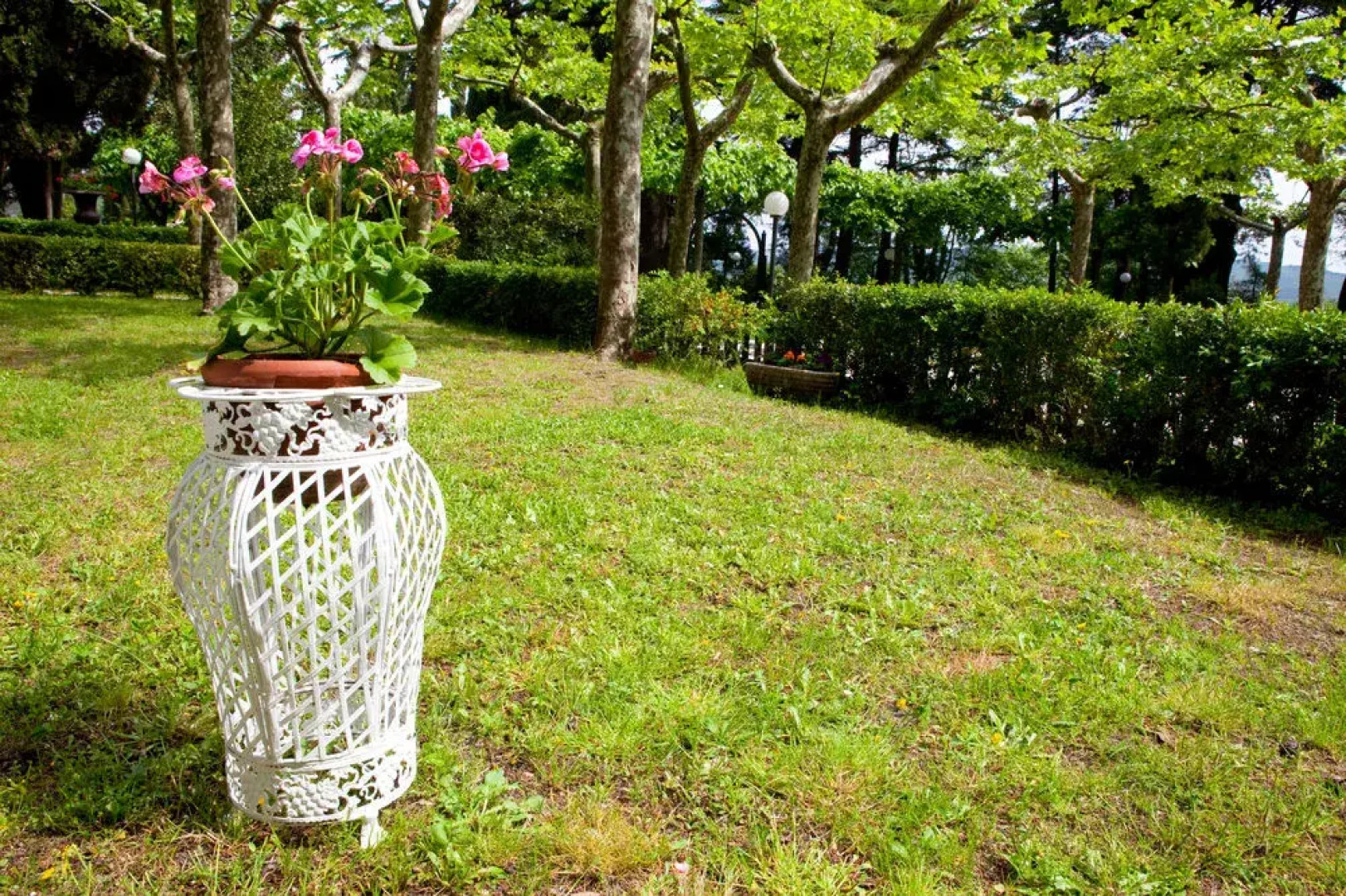 Terme San Filippo & SPA