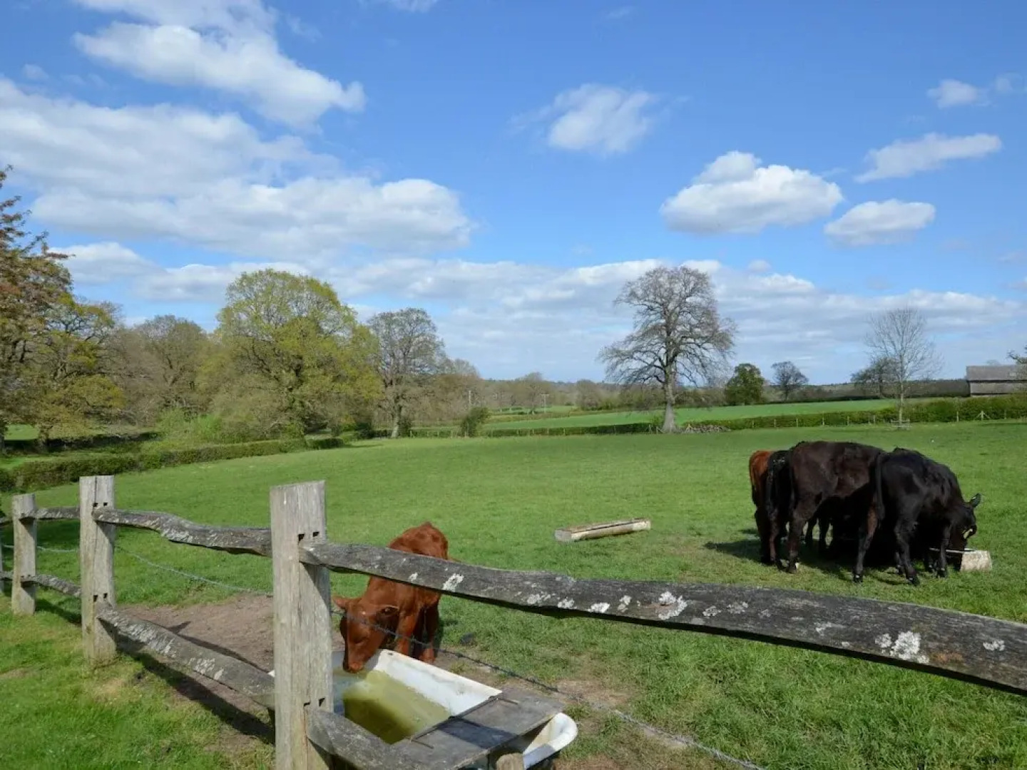 With Wonderful Views, This Could be the Most Romantic Hideaway Ever