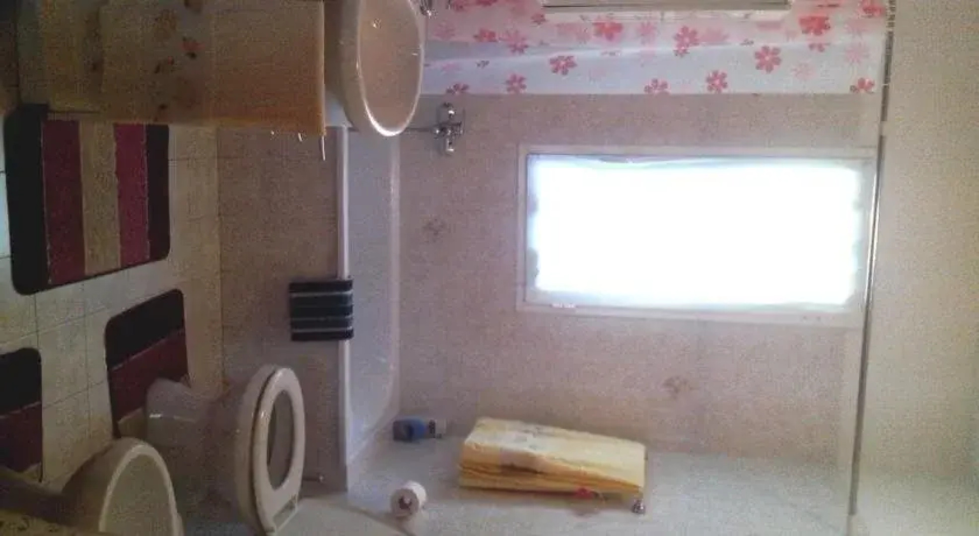 L'Erba degli Abrighi