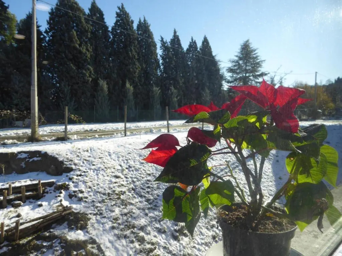 Agriturismo Tenuta Bettozza