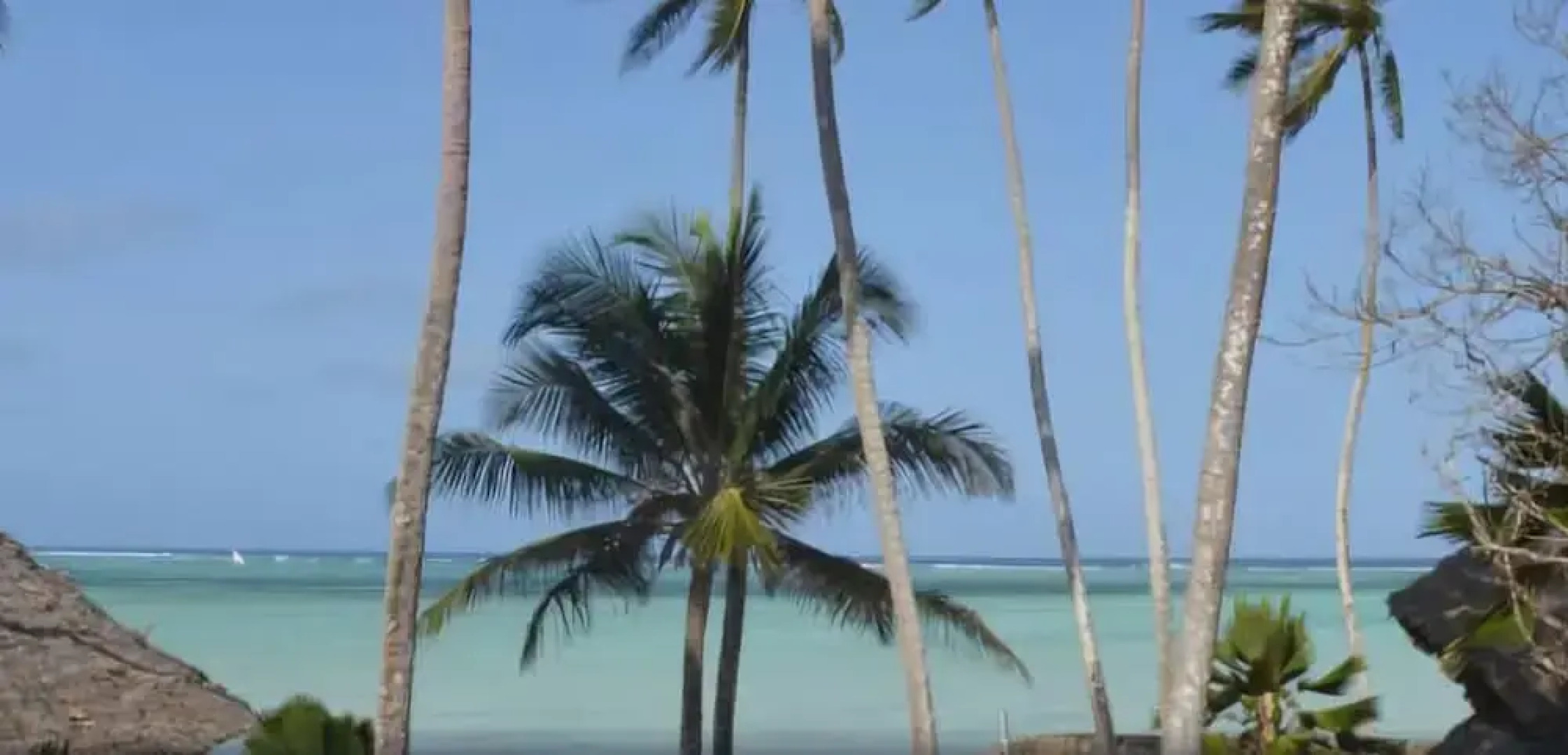 Coral Reef Beach Resort