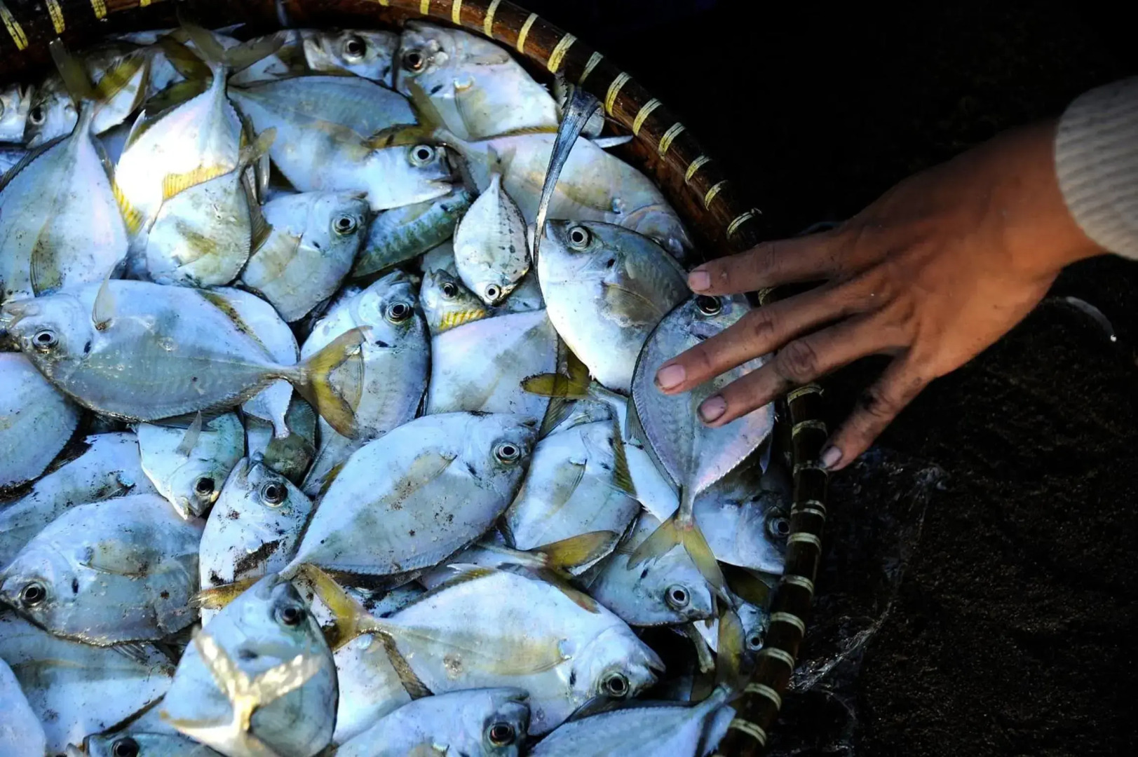 Surya Kencana Seaside Hotel