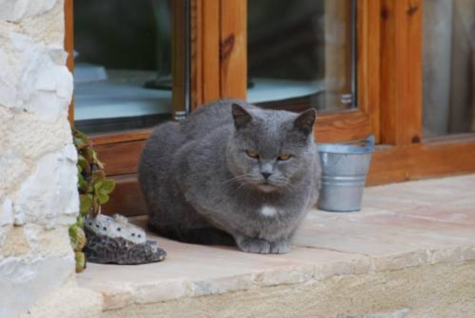 Casa Rural La Casota