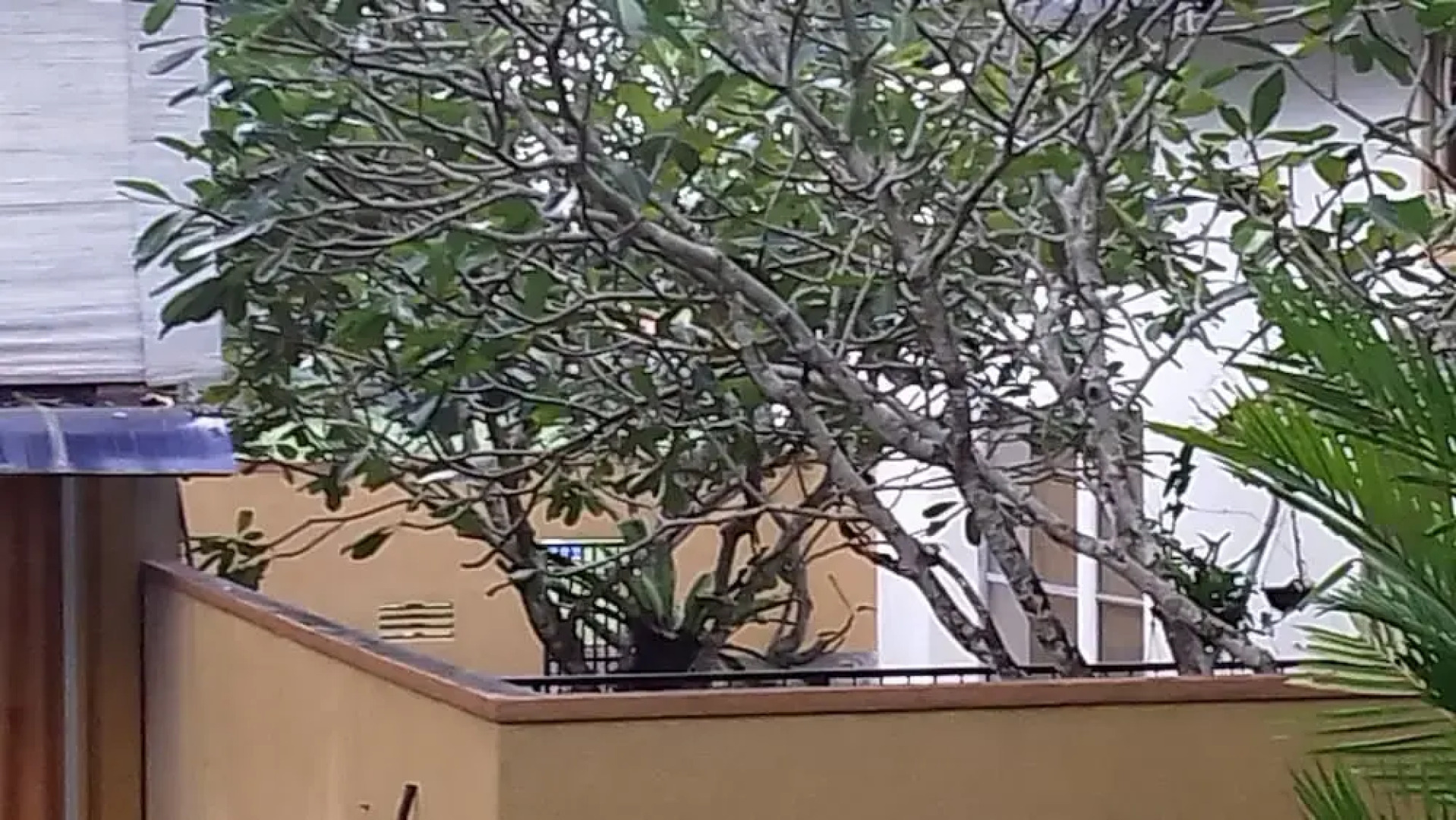 Lakeside Hybrid Villa