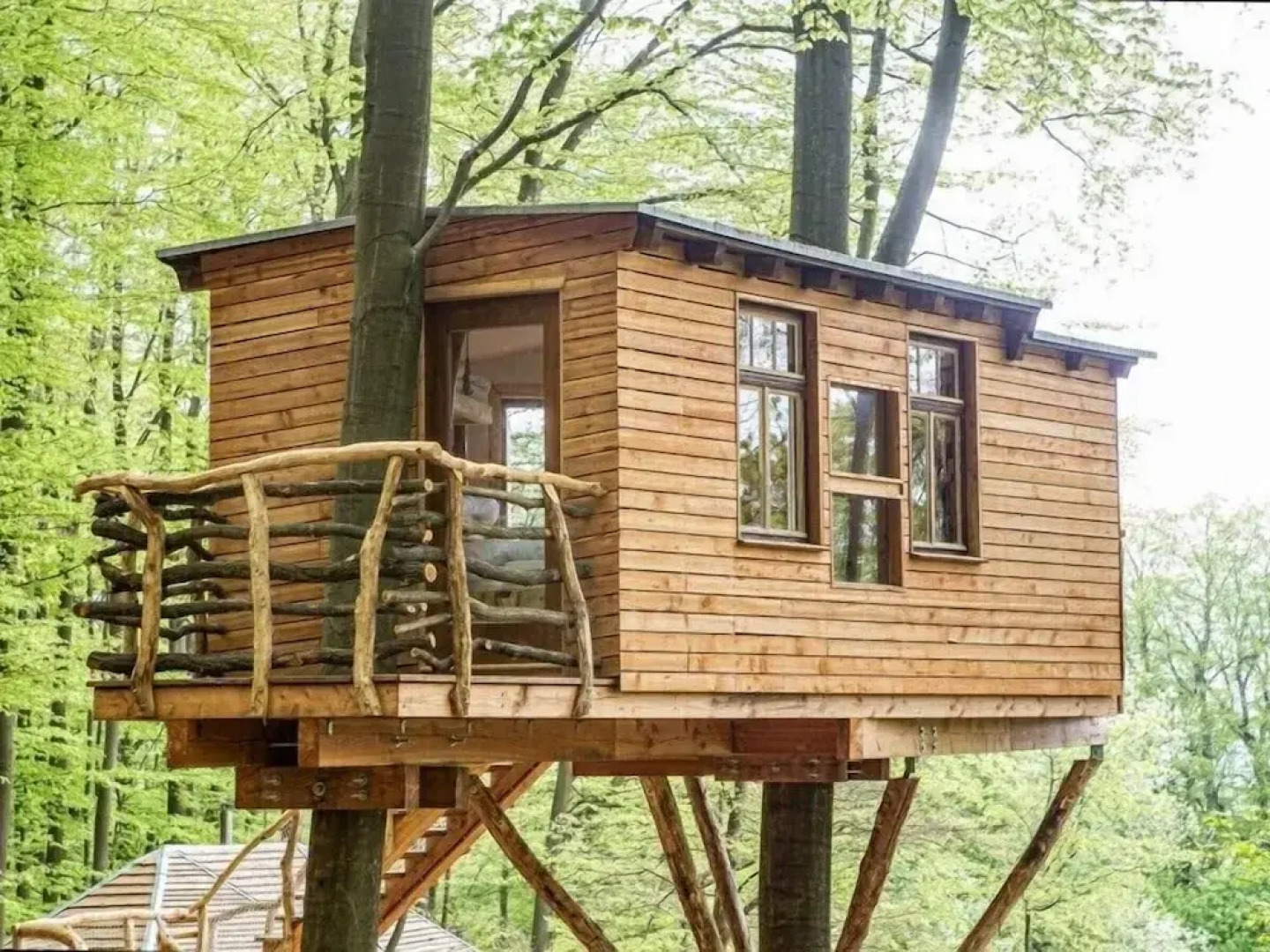 Robins Nest Baumhaushotel