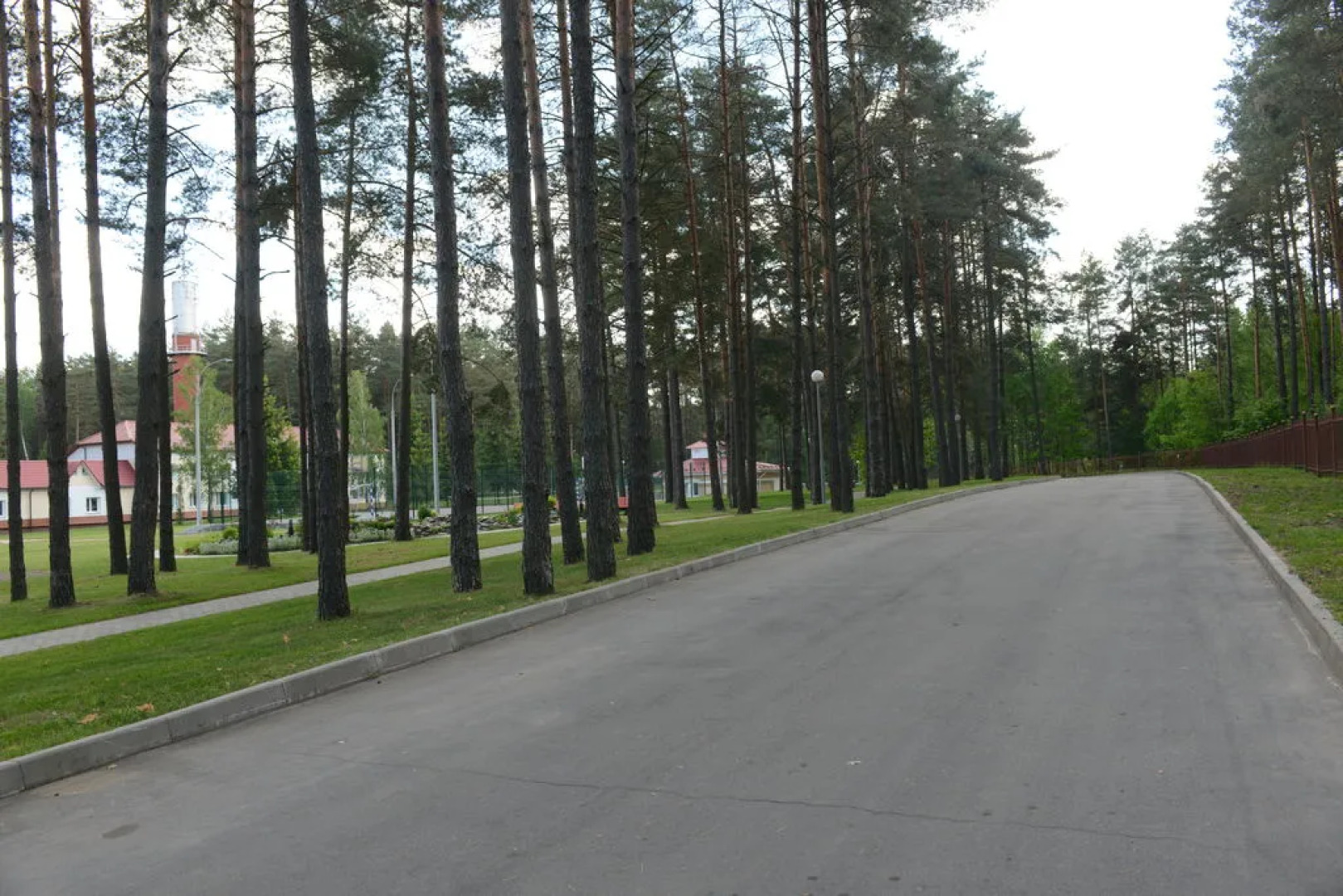 Сосны (Гомельская обл.)