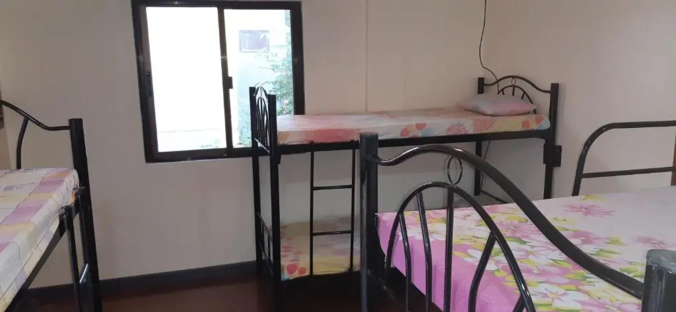 Screaming Gecko Hostel Air-Con