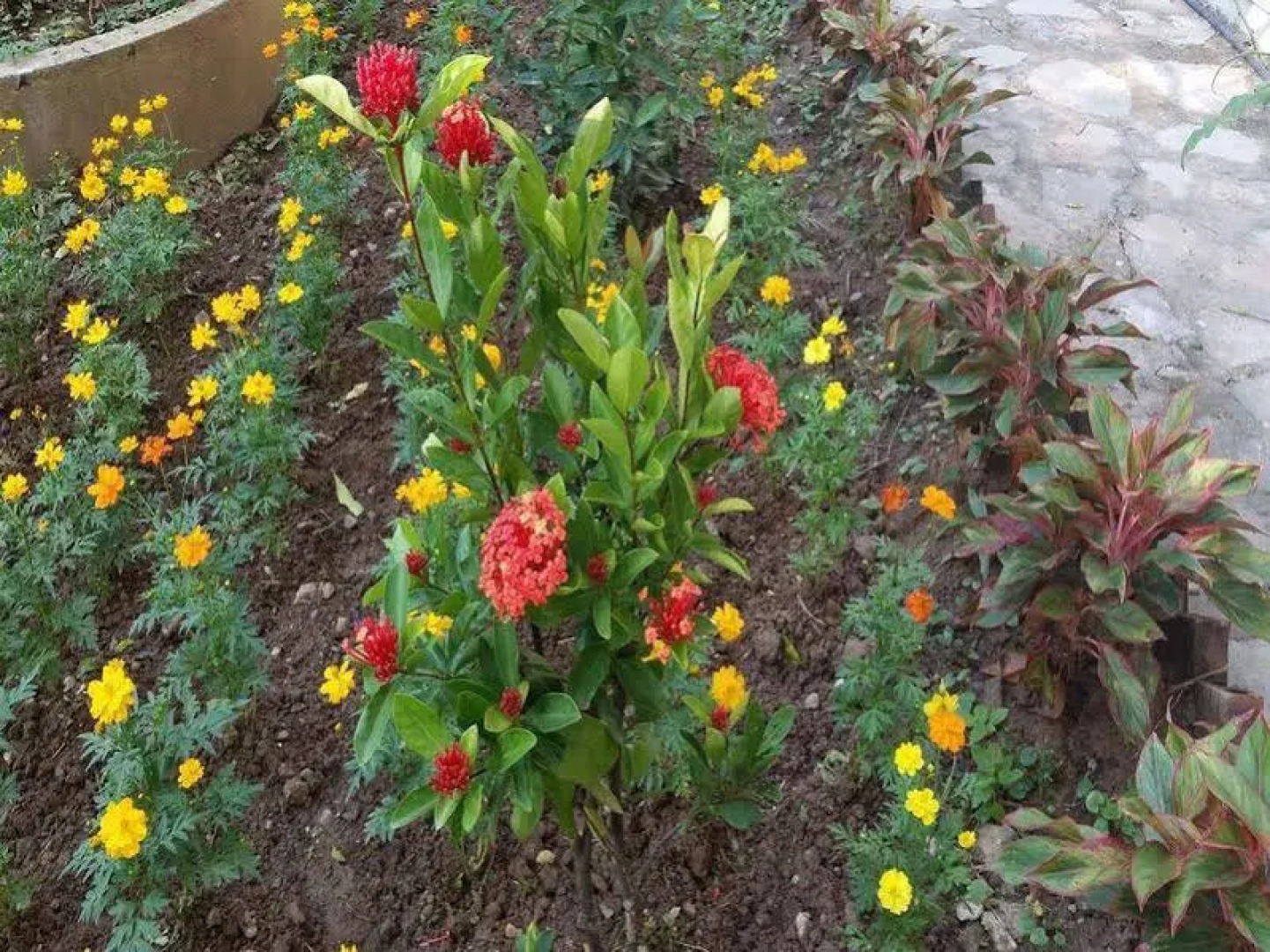 An Phu Hotel and Spa