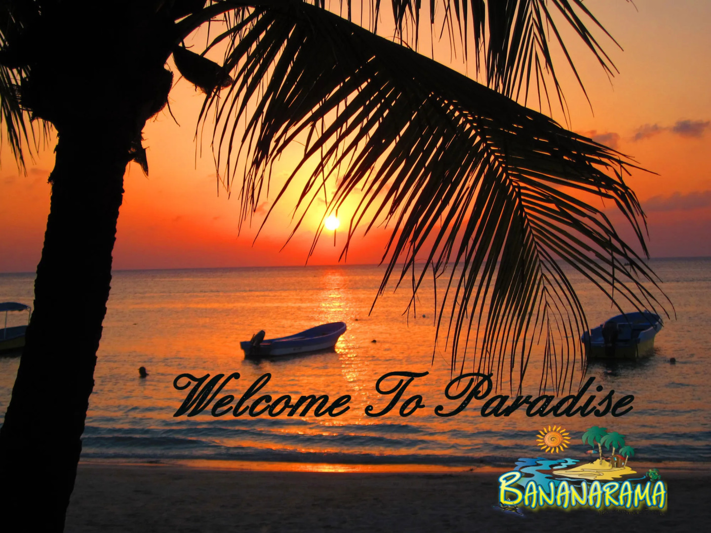 Bananarama Dive & Beach Resort