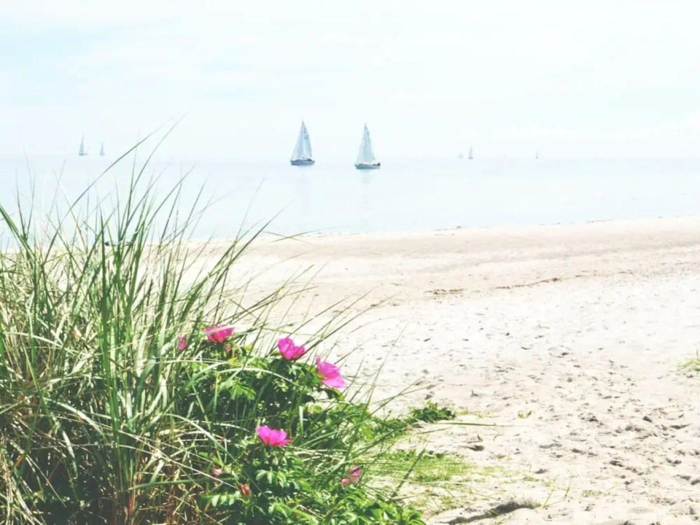 Spacious Apartment With Balcony