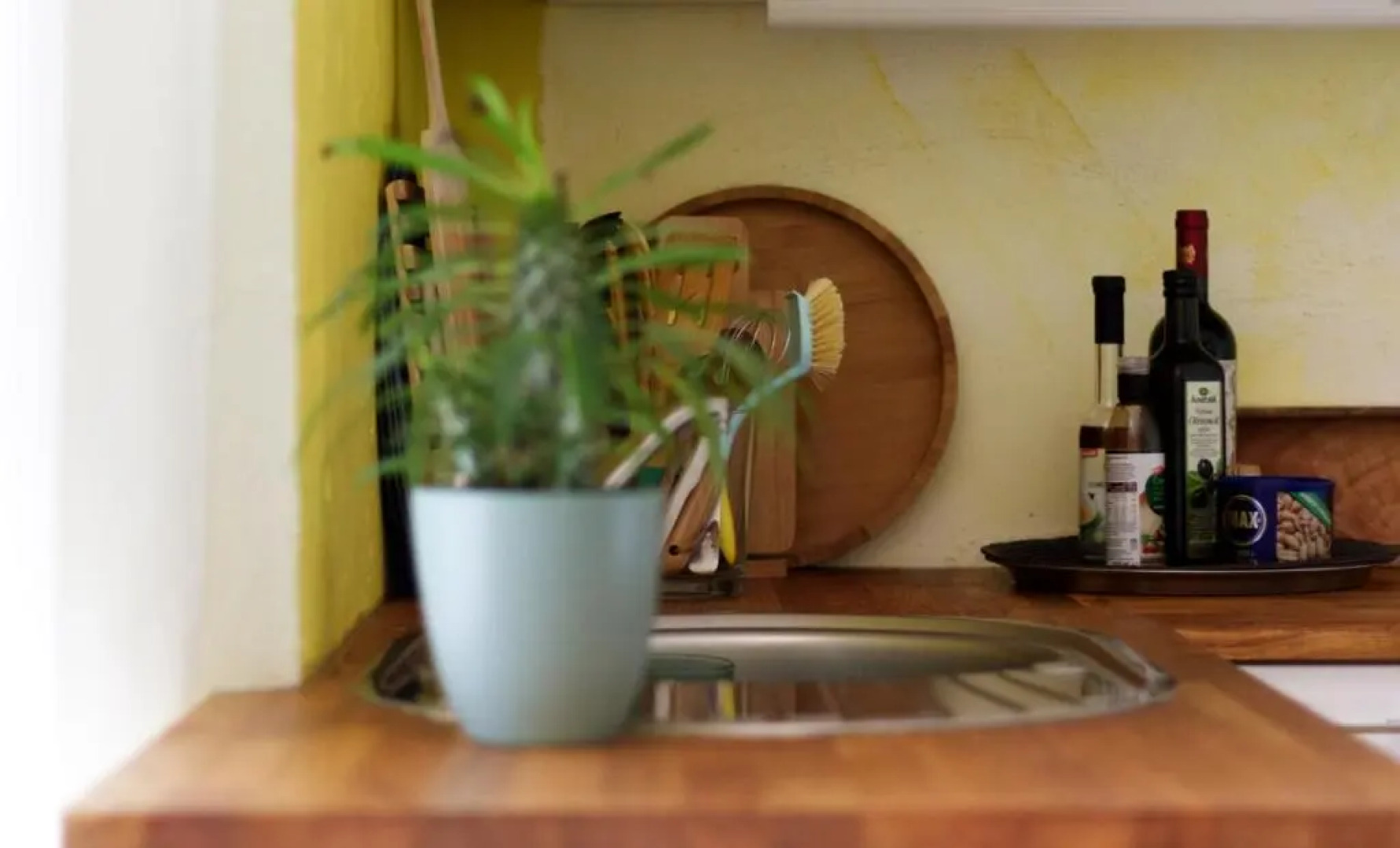 Souterrainwohnung mit großem Garten und Sauna