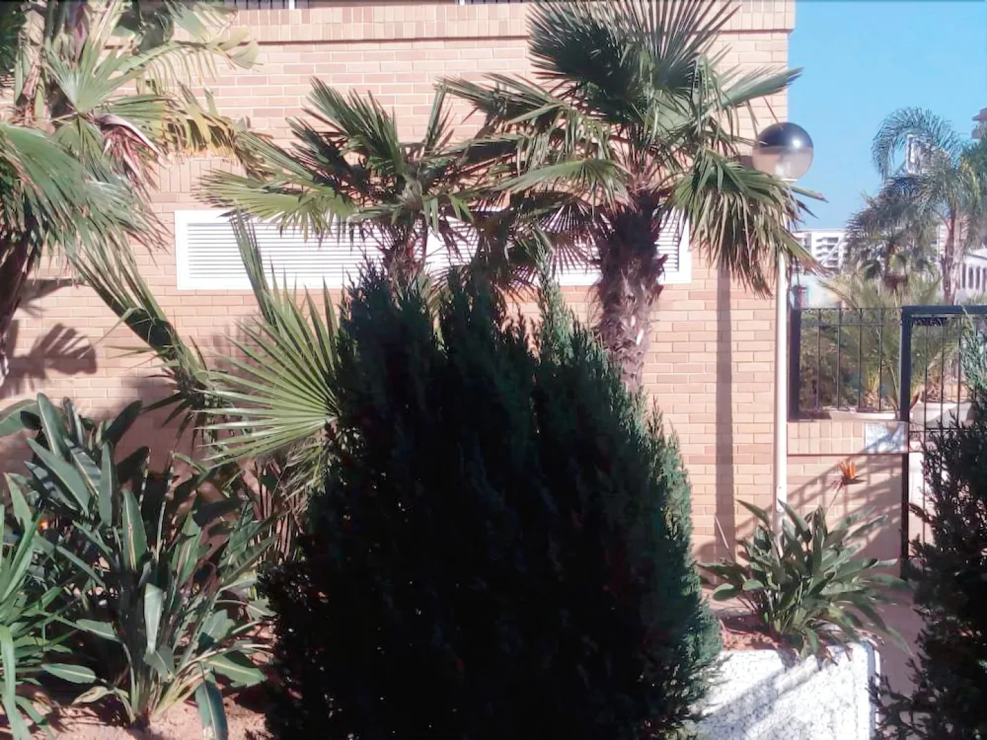 Acv - aguamarina-2ª línea planta baja sur