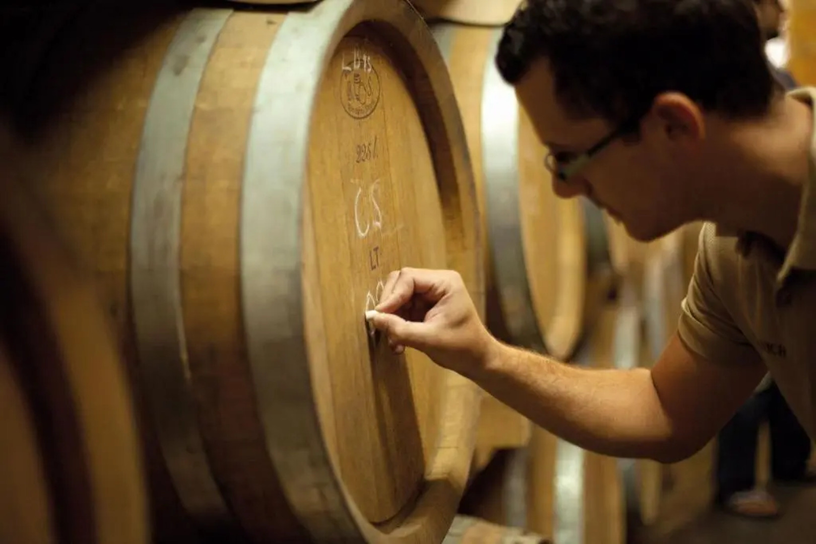 Villa Visnjan Residence 2