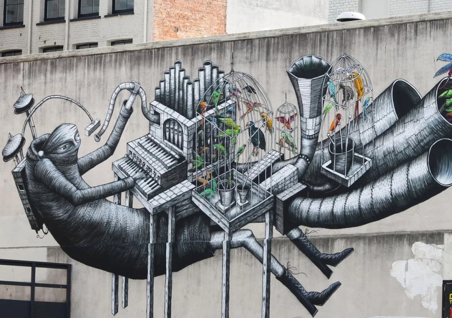 Geeky Gecko Backpackers