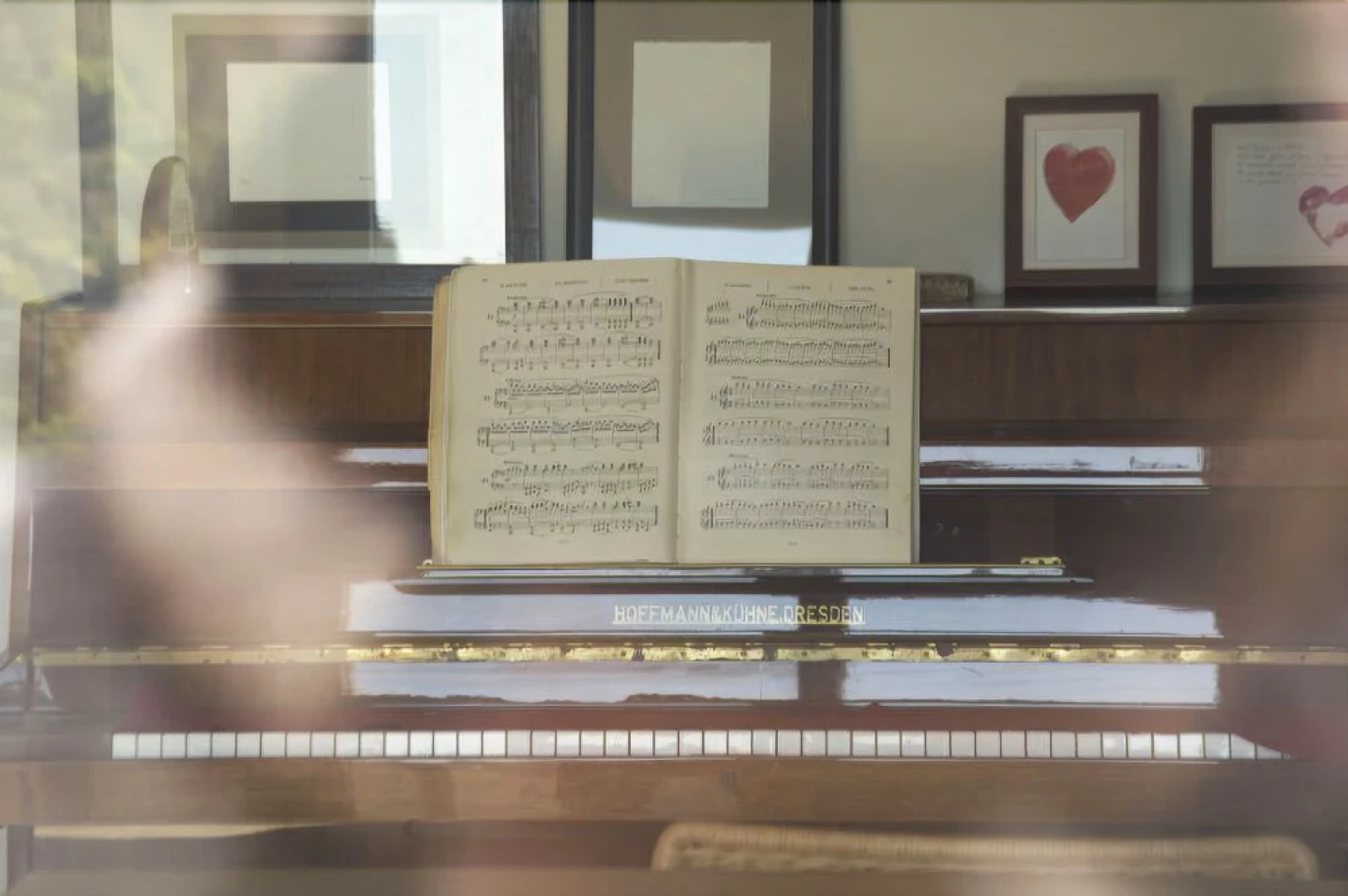 Agriturismo Campo di Luna