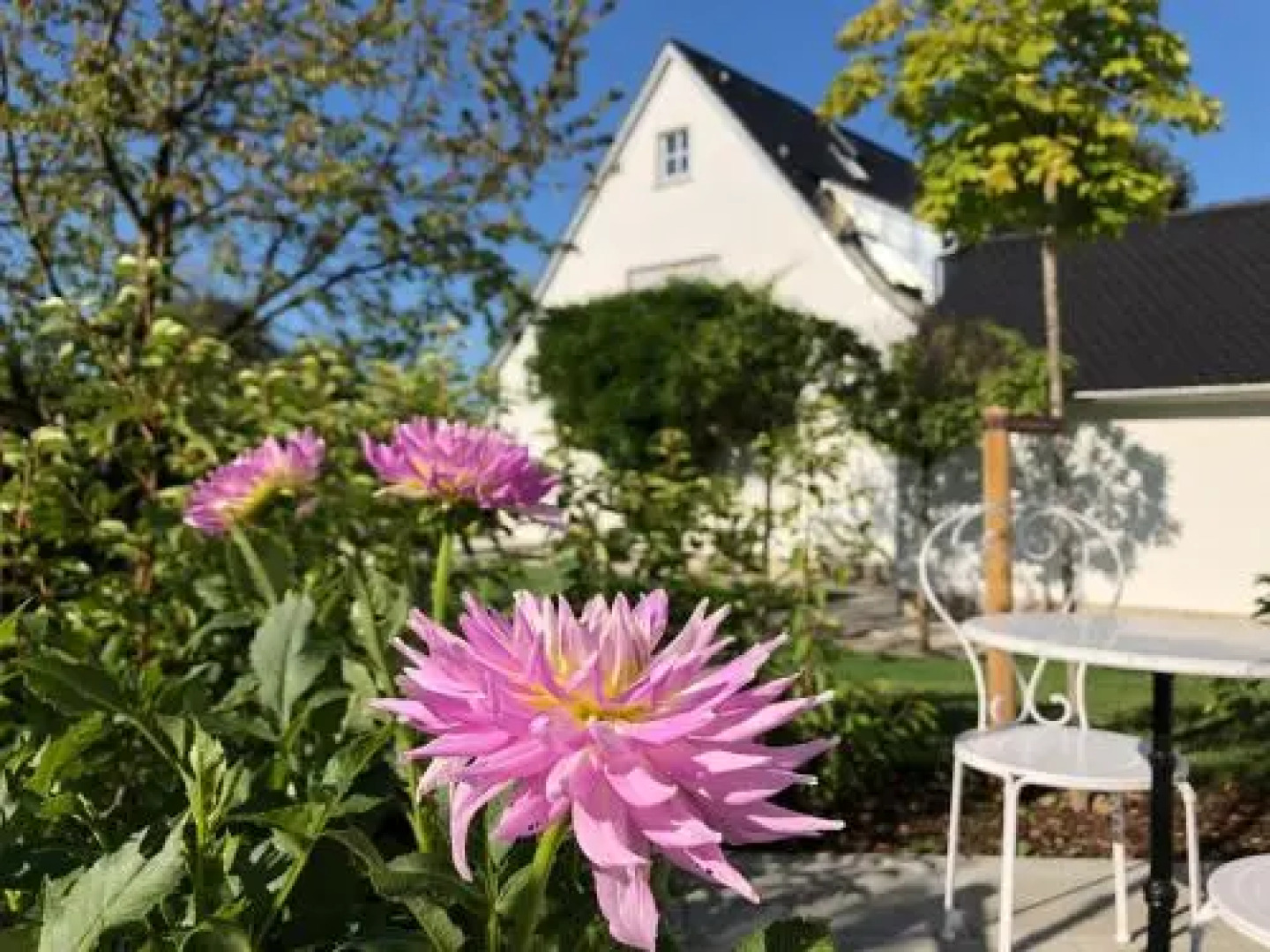B&B Villa Dahlia
