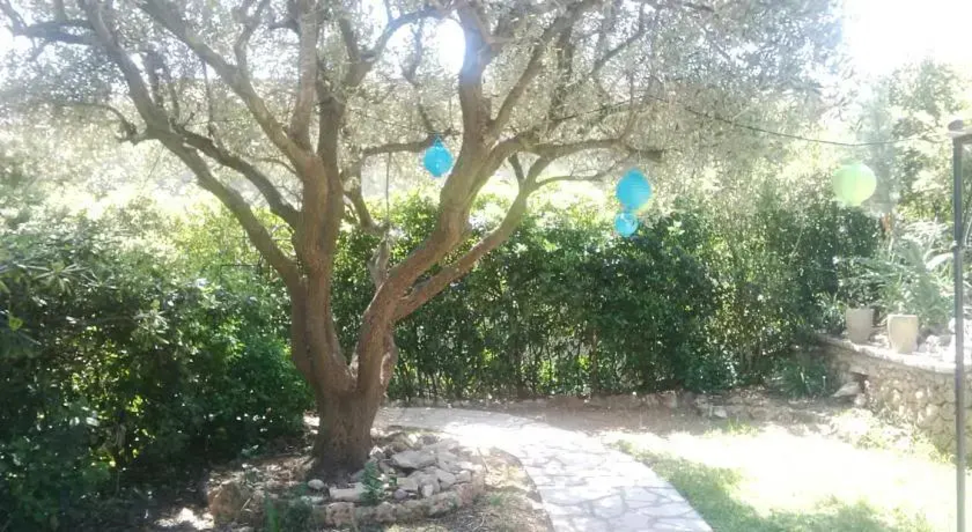 Vert et Bleu