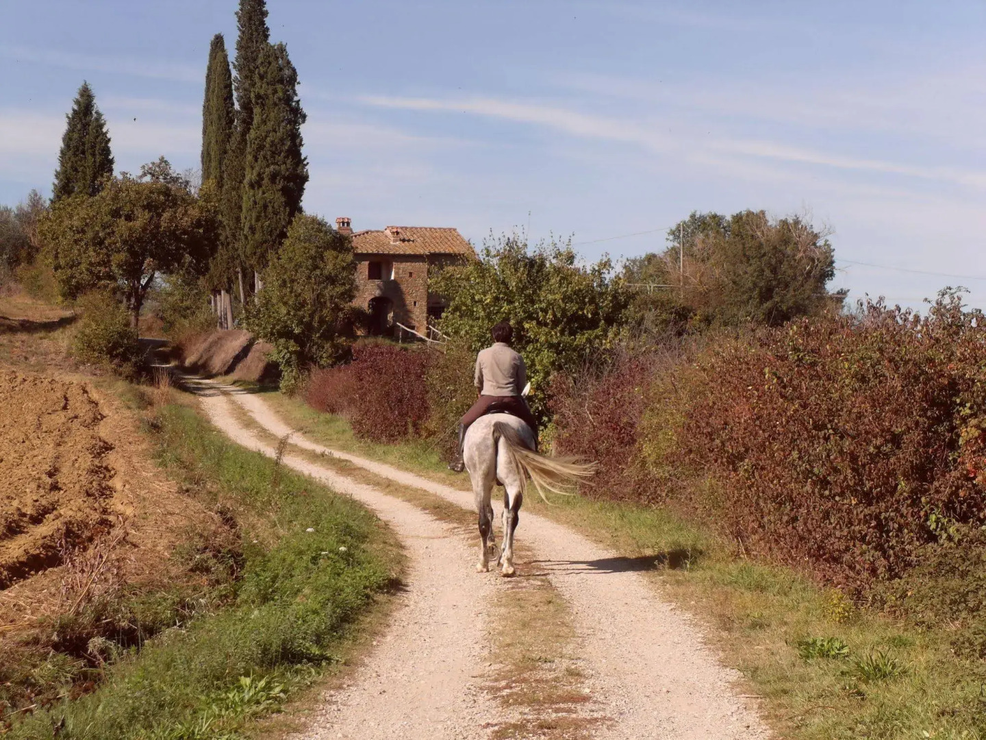 Podere Pievina Delle Corti