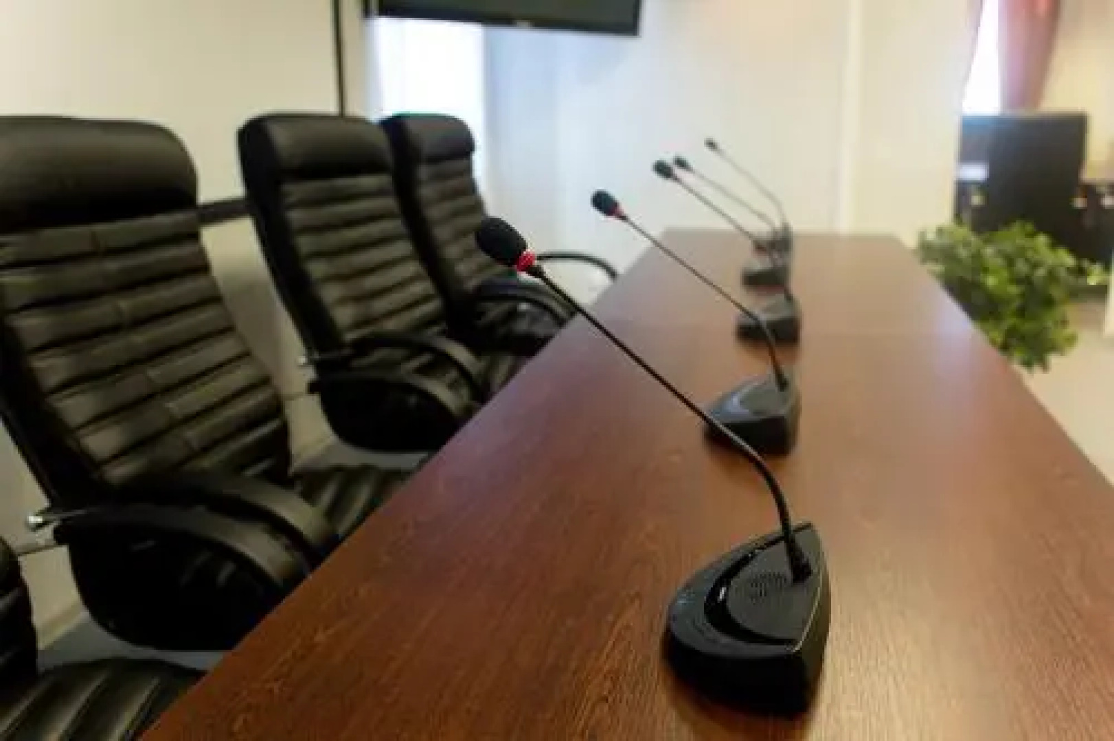 Dneprovskaya Zhemchugina