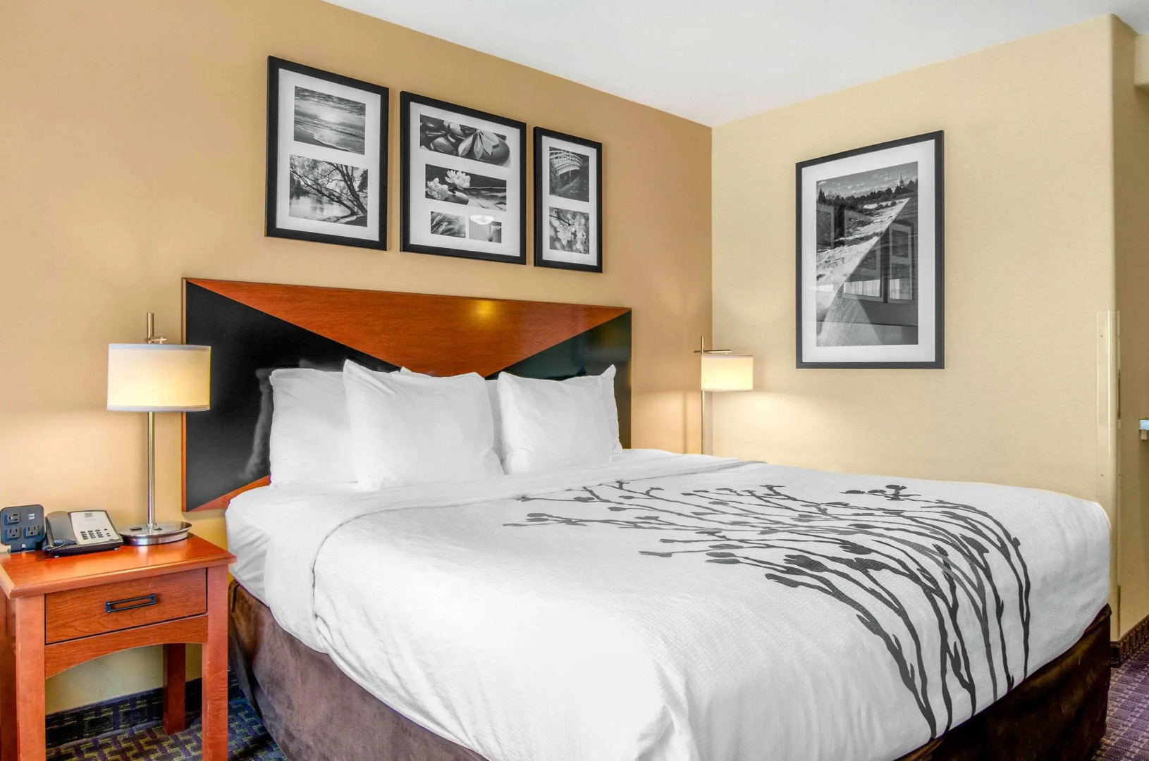 Garner Hotel Idaho Falls Southwest by IHG
