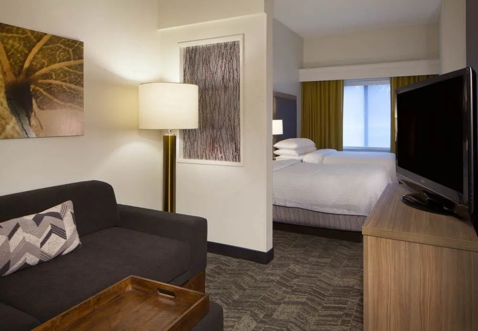 SpringHill Suites Atlanta Kennesaw
