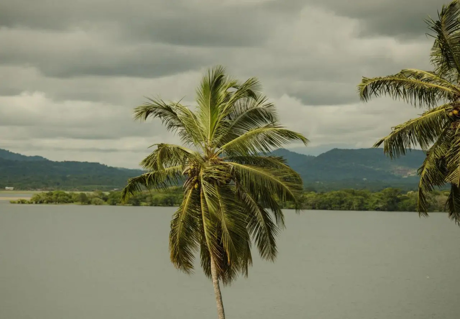 Thaulle Pure Ayurveda Resort - Yala