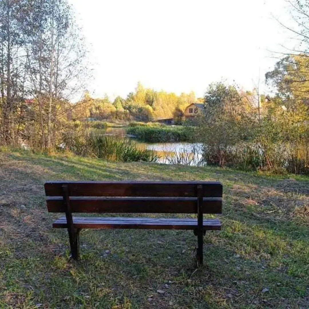 Двухэтажный дом с баней Рябинушка 2