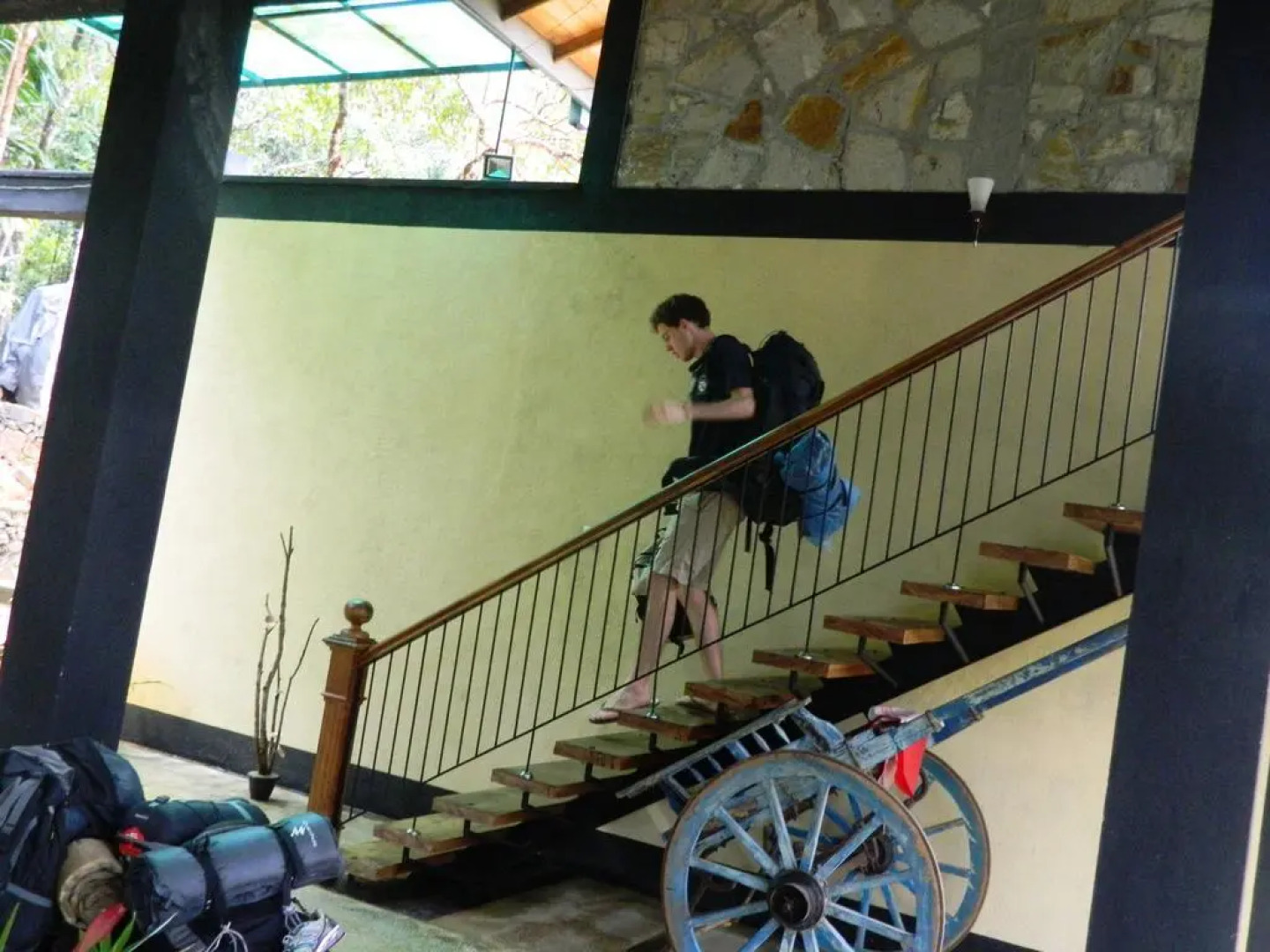 Birds Paradise Hotel