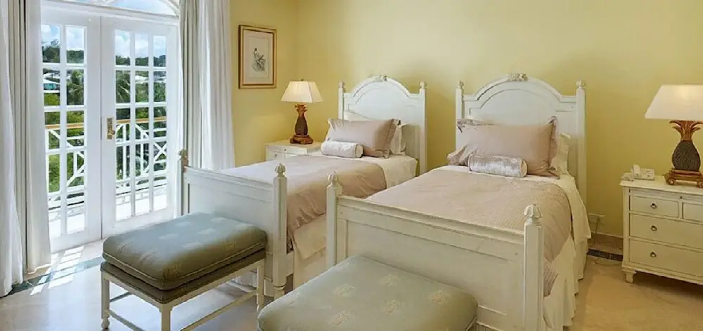 Old Trees 302 - La Mirage