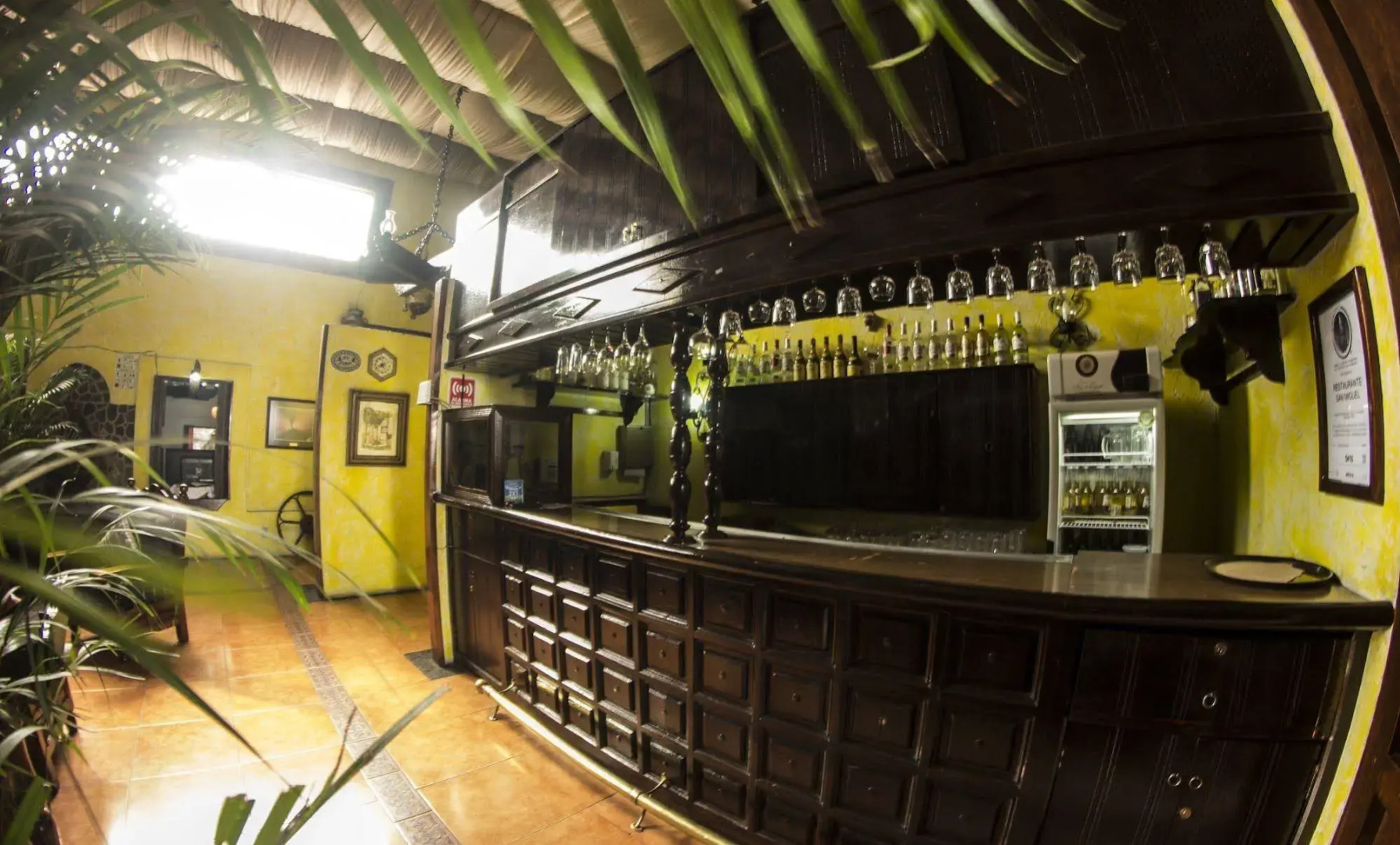 Aristos Express Huejotzingo